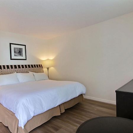 Motel De La Montagne Orford Екстериор снимка